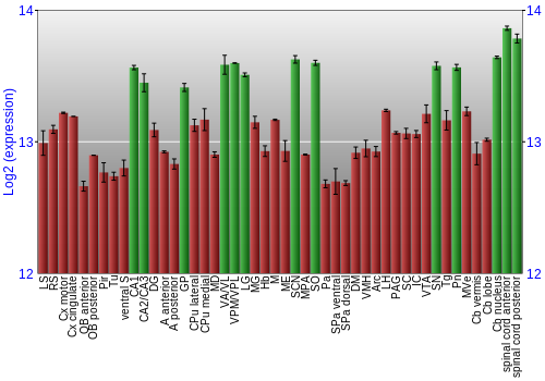 Multi-state expression graph