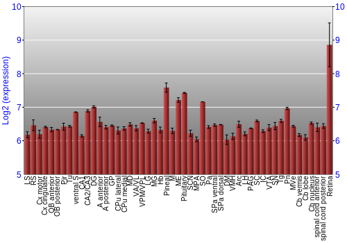 Expression graph