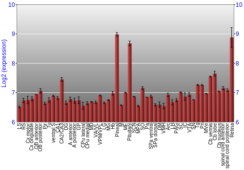 Expression graph