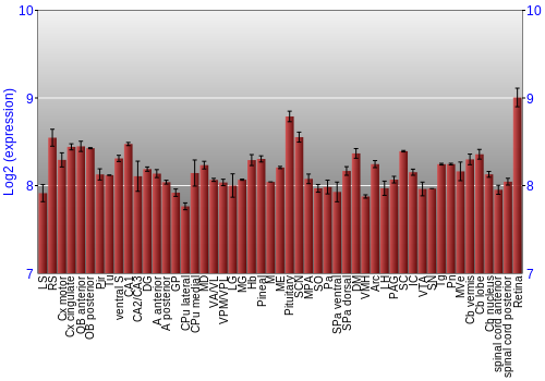Expression graph