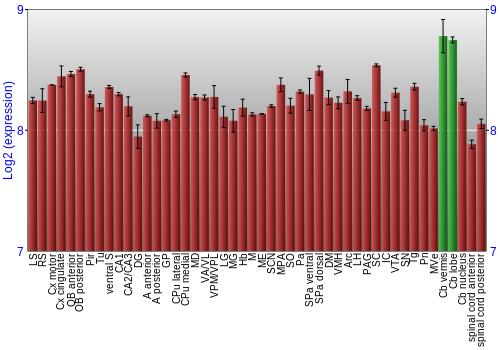 Multi-state expression graph