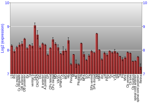 Expression graph