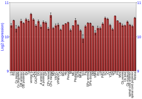 Expression graph