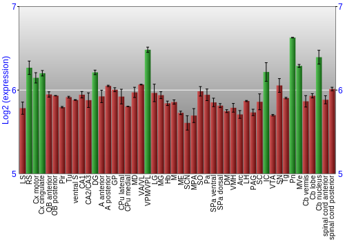 Multi-state expression graph