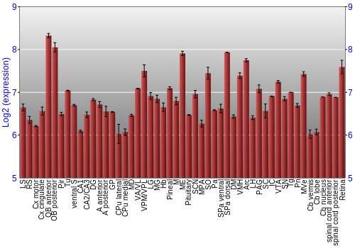 Expression graph