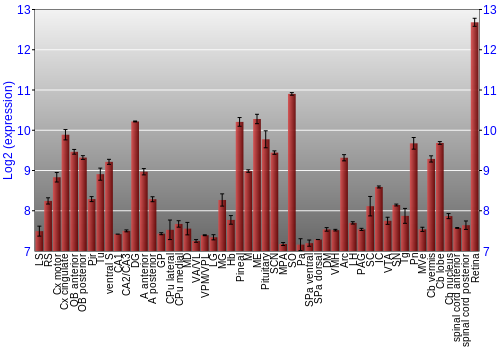 Expression graph