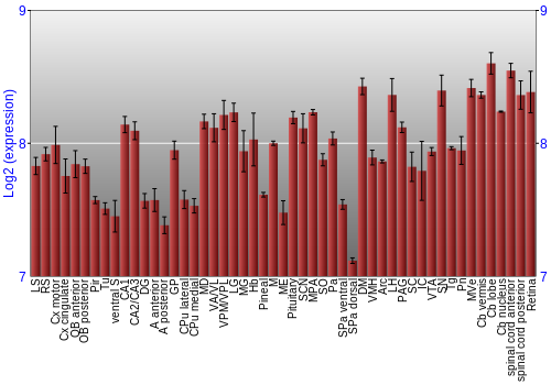 Expression graph
