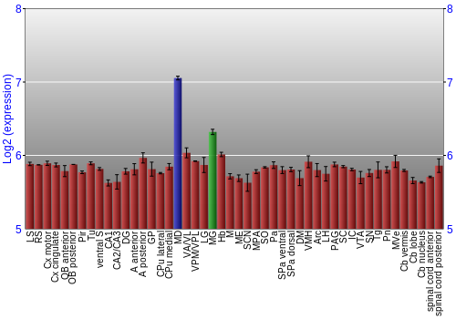 Multi-state expression graph