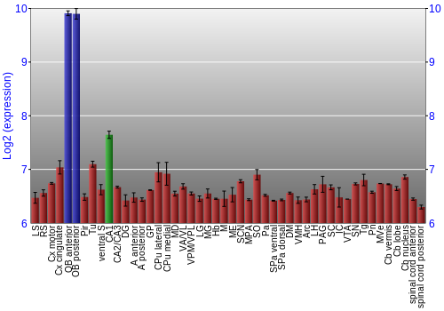 Multi-state expression graph