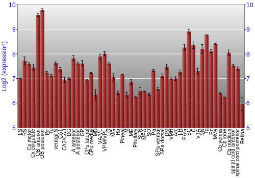 Expression graph