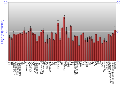 Expression graph