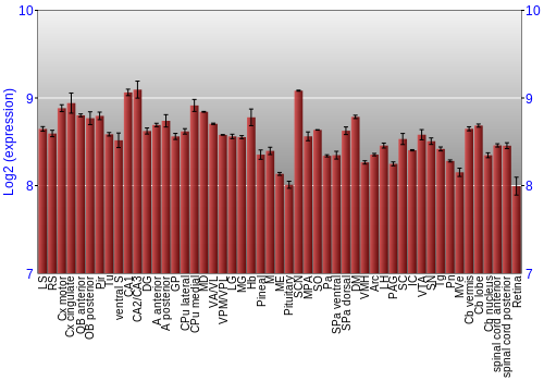 Expression graph