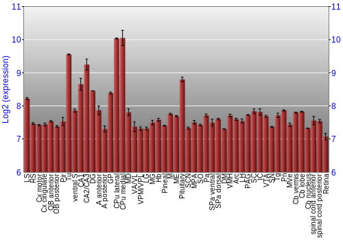 Expression graph