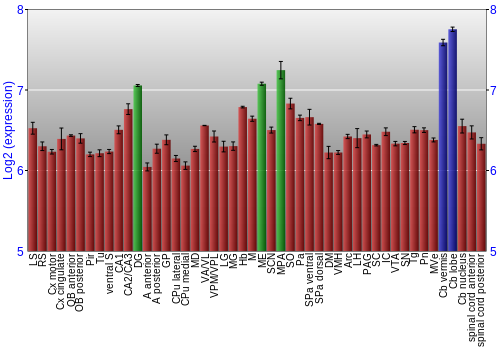 Multi-state expression graph