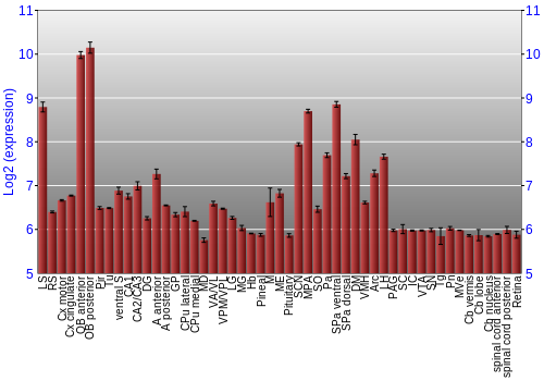 Expression graph