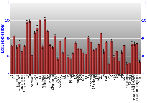 Expression graph