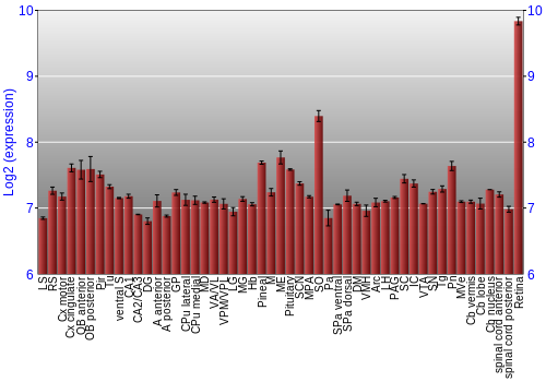 Expression graph