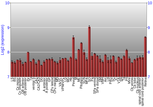 Expression graph