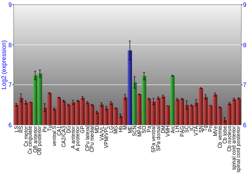 Multi-state expression graph