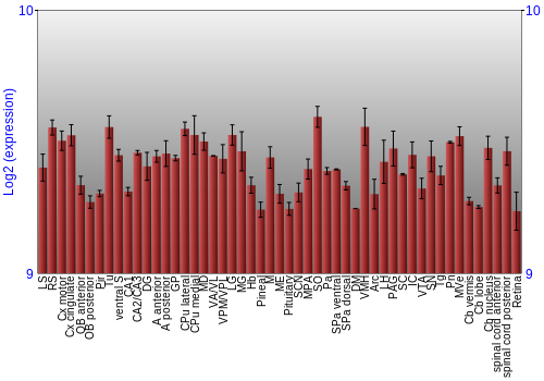 Expression graph