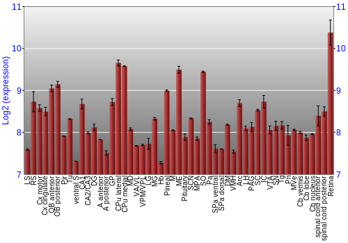 Expression graph