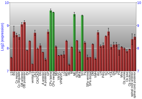 Multi-state expression graph