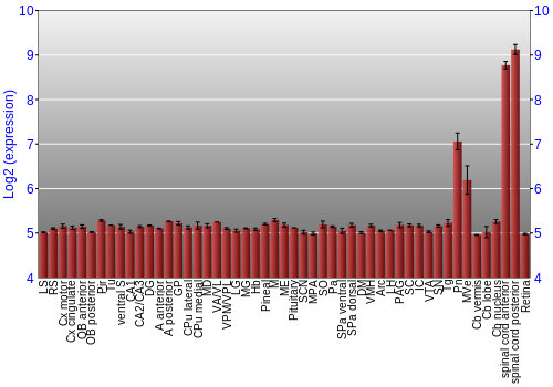 Expression graph