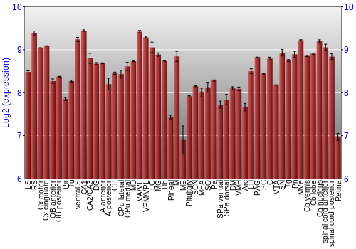 Expression graph