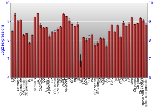 Multi-state expression graph