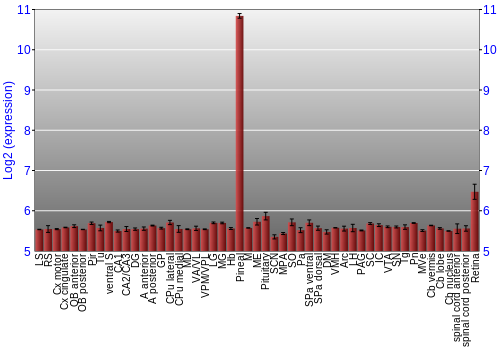 Expression graph