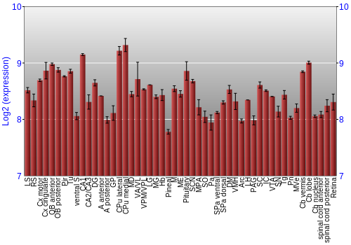 Expression graph