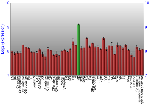 Multi-state expression graph