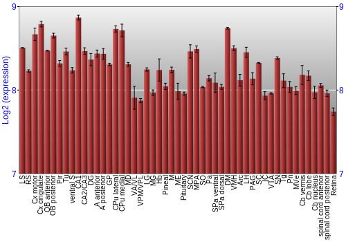Expression graph