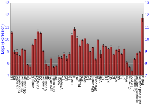 Expression graph