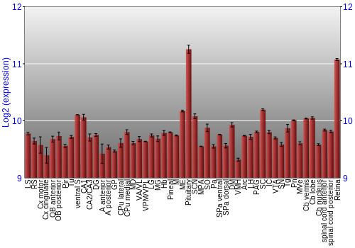 Expression graph