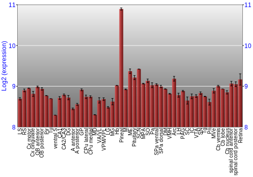 Expression graph