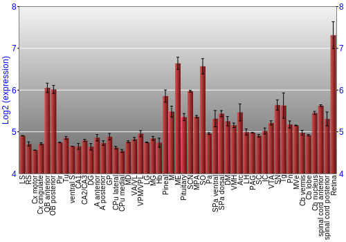 Expression graph