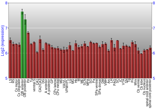Multi-state expression graph