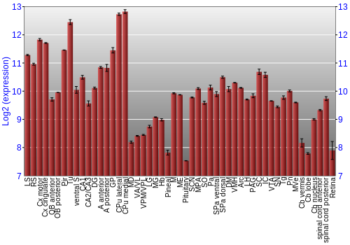 Expression graph