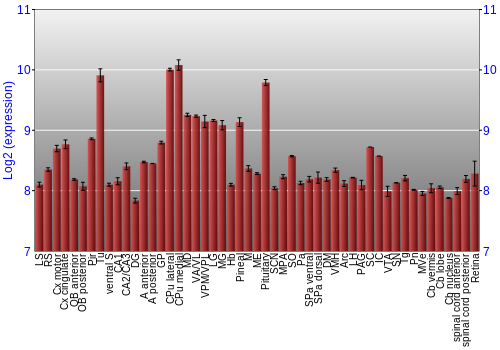 Expression graph