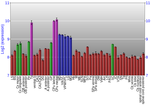 Multi-state expression graph