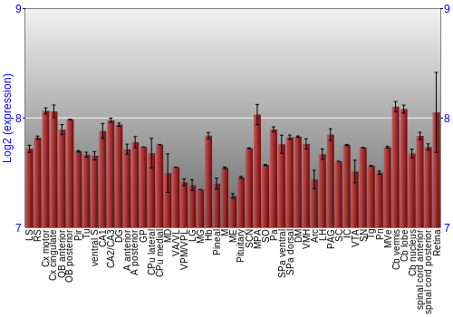 Expression graph