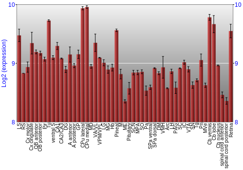 Expression graph