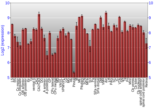 Expression graph