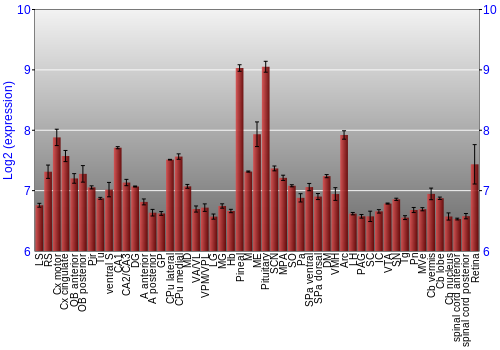 Expression graph