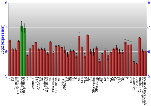 Multi-state expression graph