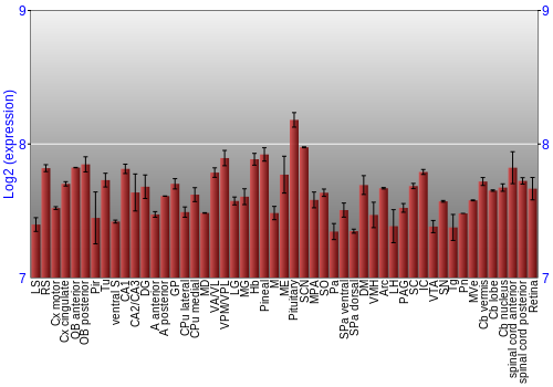 Expression graph