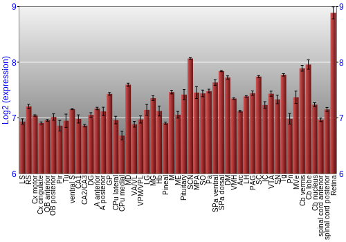 Expression graph