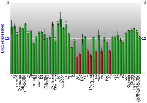 Multi-state expression graph