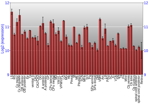Expression graph